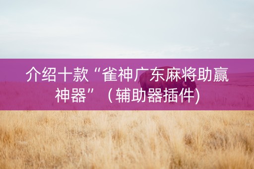 介绍十款“雀神广东麻将助赢神器”（辅助器插件)