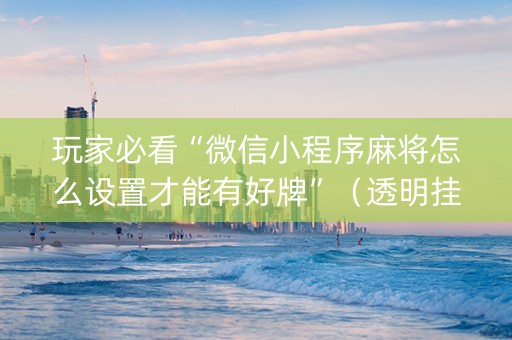 玩家必看“微信小程序麻将怎么设置才能有好牌”（透明挂辅助器)