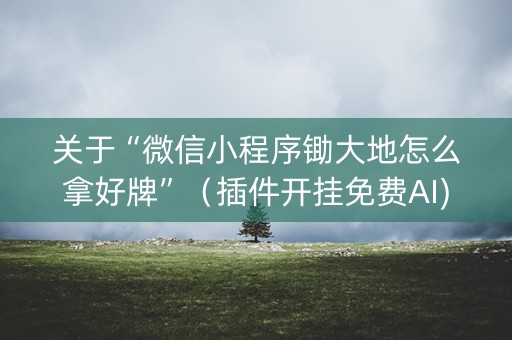 关于“微信小程序锄大地怎么拿好牌”（插件开挂免费AI)