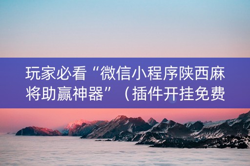 玩家必看“微信小程序陕西麻将助赢神器”（插件开挂免费AI)