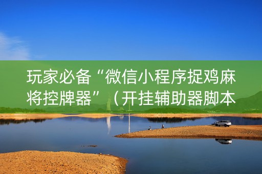玩家必备“微信小程序捉鸡麻将控牌器”（开挂辅助器脚本)