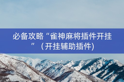 必备攻略“雀神麻将插件开挂”（开挂辅助插件)