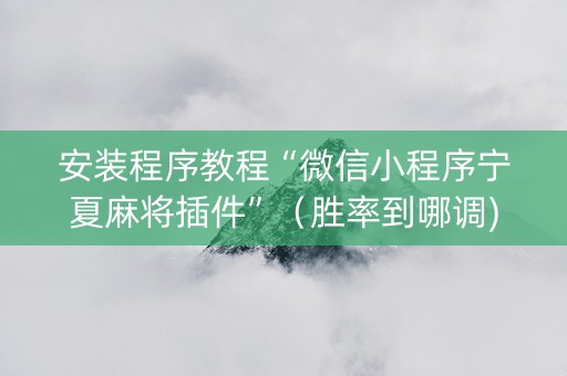 安装程序教程“微信小程序宁夏麻将插件”（胜率到哪调)