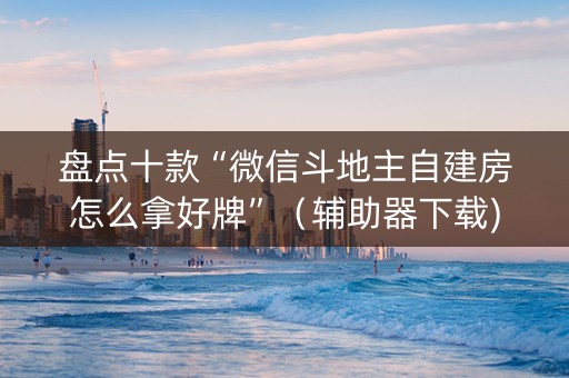 盘点十款“微信斗地主自建房怎么拿好牌”（辅助器下载)