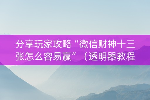 分享玩家攻略“微信财神十三张怎么容易赢”（透明器教程)
