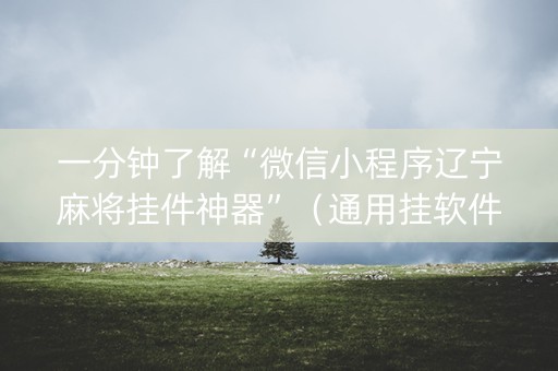 一分钟了解“微信小程序辽宁麻将挂件神器”（通用挂软件多少钱)
