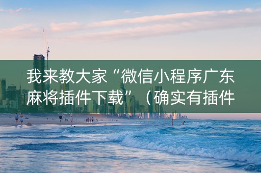 我来教大家“微信小程序广东麻将插件下载”（确实有插件吗)