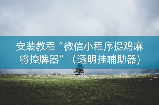 安装教程“微信小程序捉鸡麻将控牌器”（透明挂辅助器)