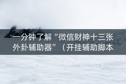 一分钟了解“微信财神十三张外卦辅助器”（开挂辅助脚本)