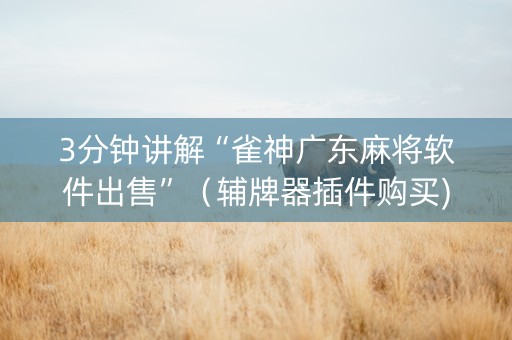 3分钟讲解“雀神广东麻将软件出售”（辅牌器插件购买)