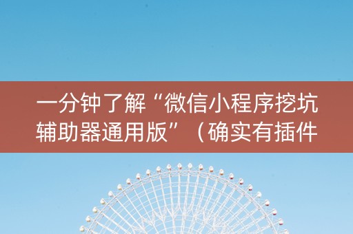 一分钟了解“微信小程序挖坑辅助器通用版”（确实有插件吗)