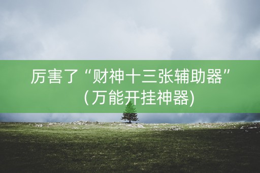 厉害了“财神十三张辅助器”（万能开挂神器)