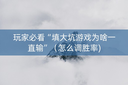 玩家必看“填大坑游戏为啥一直输”（怎么调胜率)
