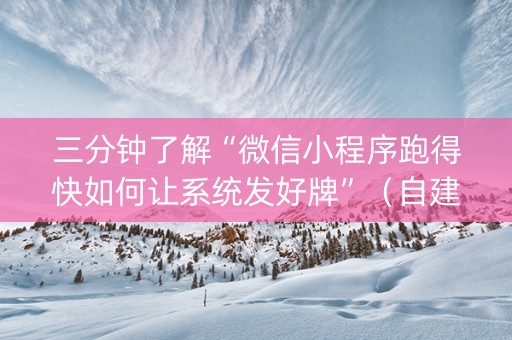 三分钟了解“微信小程序跑得快如何让系统发好牌”（自建房怎么赢)