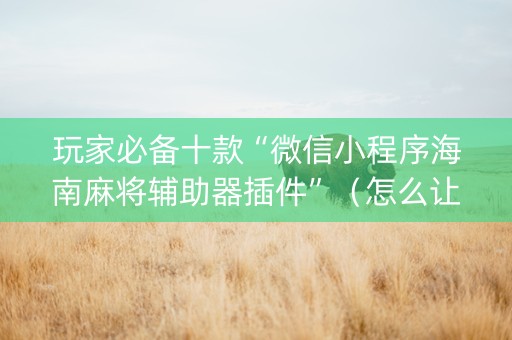玩家必备十款“微信小程序海南麻将辅助器插件”（怎么让系统给自己好牌)