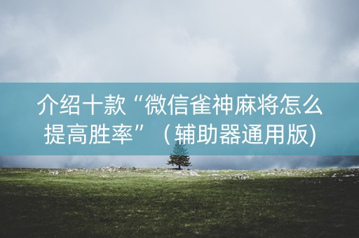 介绍十款“微信雀神麻将怎么提高胜率”（辅助器通用版)