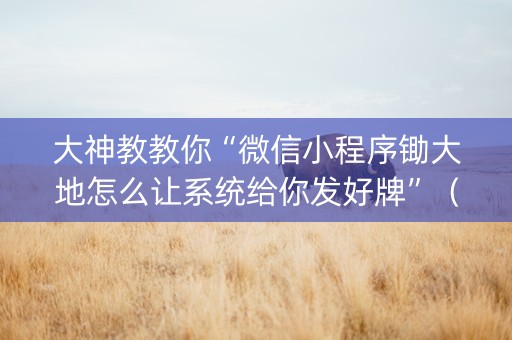 大神教教你“微信小程序锄大地怎么让系统给你发好牌”（开挂辅助器脚本)