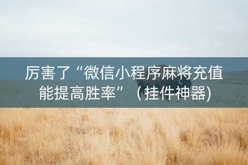 厉害了“微信小程序麻将充值能提高胜率”（挂件神器)