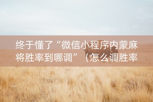 终于懂了“微信小程序内蒙麻将胜率到哪调”（怎么调胜率)