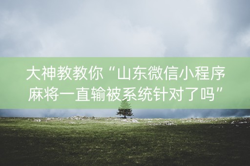 大神教教你“山东微信小程序麻将一直输被系统针对了吗”（技巧和打好牌方法)