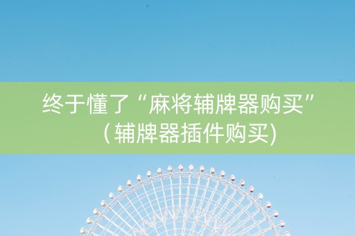 终于懂了“麻将辅牌器购买”（辅牌器插件购买)