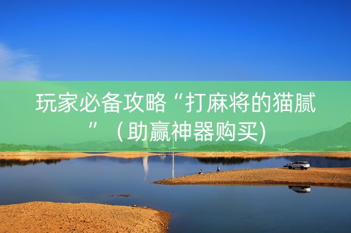 玩家必备攻略“打麻将的猫腻”（助赢神器购买)