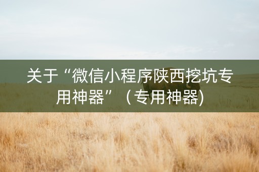 关于“微信小程序陕西挖坑专用神器”（专用神器)
