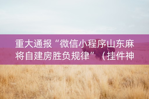重大通报“微信小程序山东麻将自建房胜负规律”（挂件神器)