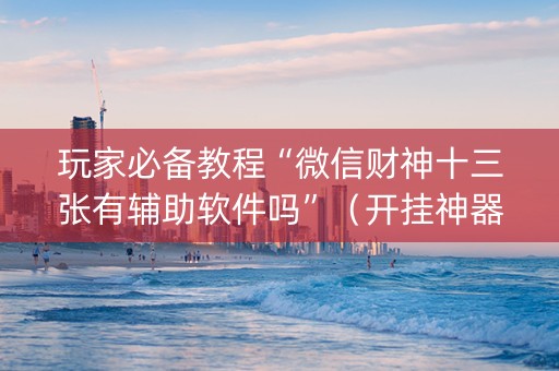 玩家必备教程“微信财神十三张有辅助软件吗”（开挂神器下载)