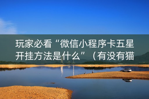 玩家必看“微信小程序卡五星开挂方法是什么”（有没有猫腻)
