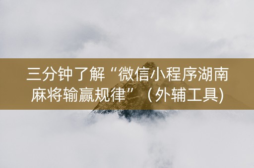 三分钟了解“微信小程序湖南麻将输赢规律”（外辅工具)