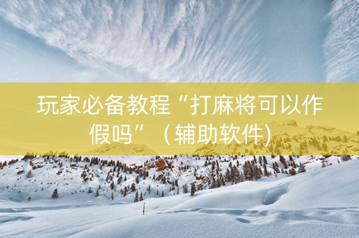 玩家必备教程“打麻将可以作假吗”（辅助软件)