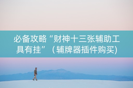 必备攻略“财神十三张辅助工具有挂”（辅牌器插件购买)