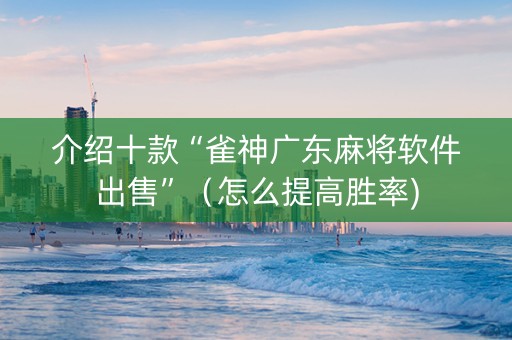 介绍十款“雀神广东麻将软件出售”（怎么提高胜率)
