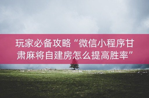 玩家必备攻略“微信小程序甘肃麻将自建房怎么提高胜率”（软件出售)