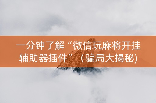 一分钟了解“微信玩麻将开挂辅助器插件”（骗局大揭秘)