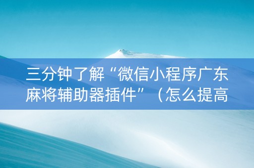 三分钟了解“微信小程序广东麻将辅助器插件”（怎么提高胜率)