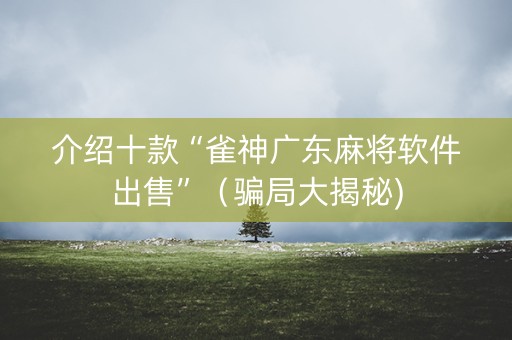 介绍十款“雀神广东麻将软件出售”（骗局大揭秘)