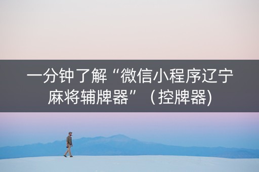 一分钟了解“微信小程序辽宁麻将辅牌器”（控牌器)