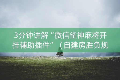 3分钟讲解“微信雀神麻将开挂辅助插件”（自建房胜负规律)