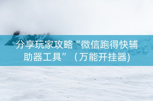 分享玩家攻略“微信跑得快辅助器工具”（万能开挂器)