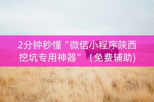 2分钟秒懂“微信小程序陕西挖坑专用神器”（免费辅助)