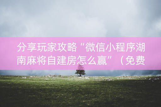 分享玩家攻略“微信小程序湖南麻将自建房怎么赢”（免费辅助)