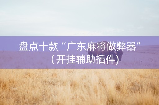 盘点十款“广东麻将做弊器”（开挂辅助插件)