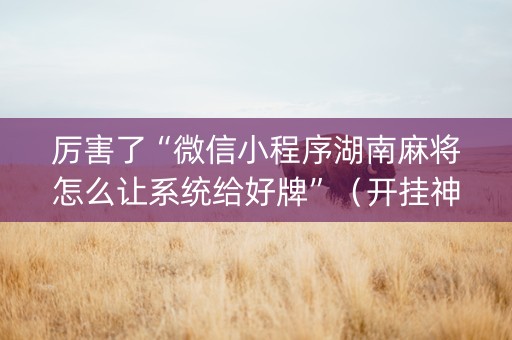 厉害了“微信小程序湖南麻将怎么让系统给好牌”（开挂神器下载)