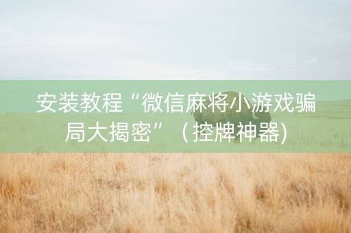 安装教程“微信麻将小游戏骗局大揭密”（控牌神器)