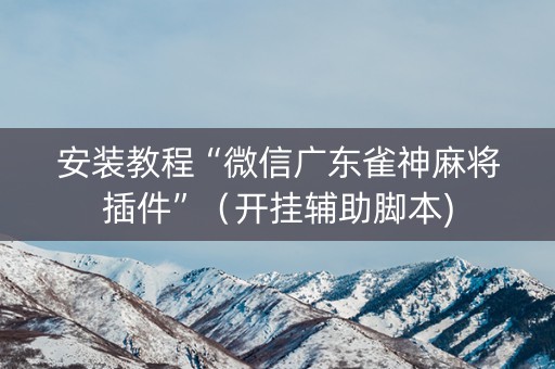 安装教程“微信广东雀神麻将插件”（开挂辅助脚本)