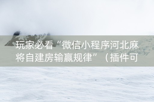 玩家必看“微信小程序河北麻将自建房输赢规律”（插件可信吗)