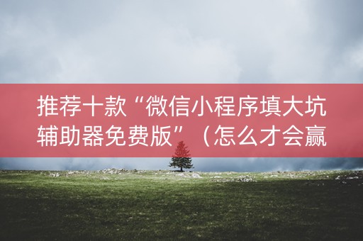 推荐十款“微信小程序填大坑辅助器免费版”（怎么才会赢)