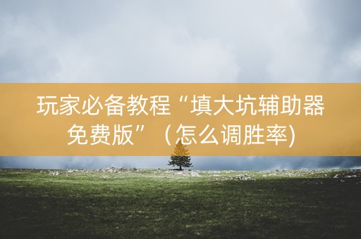 玩家必备教程“填大坑辅助器免费版”（怎么调胜率)
